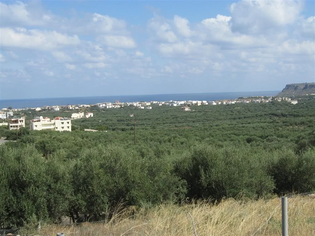 Sisi crete 184